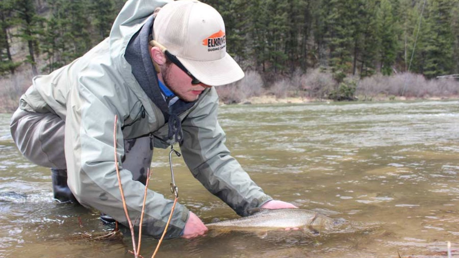 Best Practices for Catch and Release in Salmon Fly Fishing