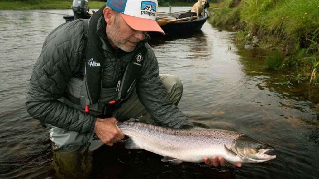 A Man Catching Atlantic Salmon with a Fly