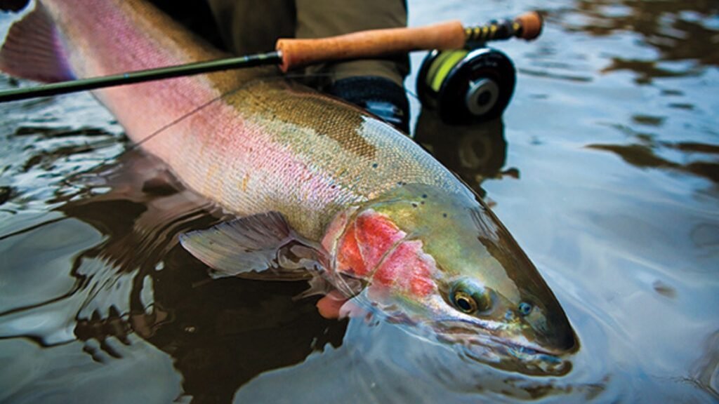 Matching the Hatch in Salmon Fly Fishing