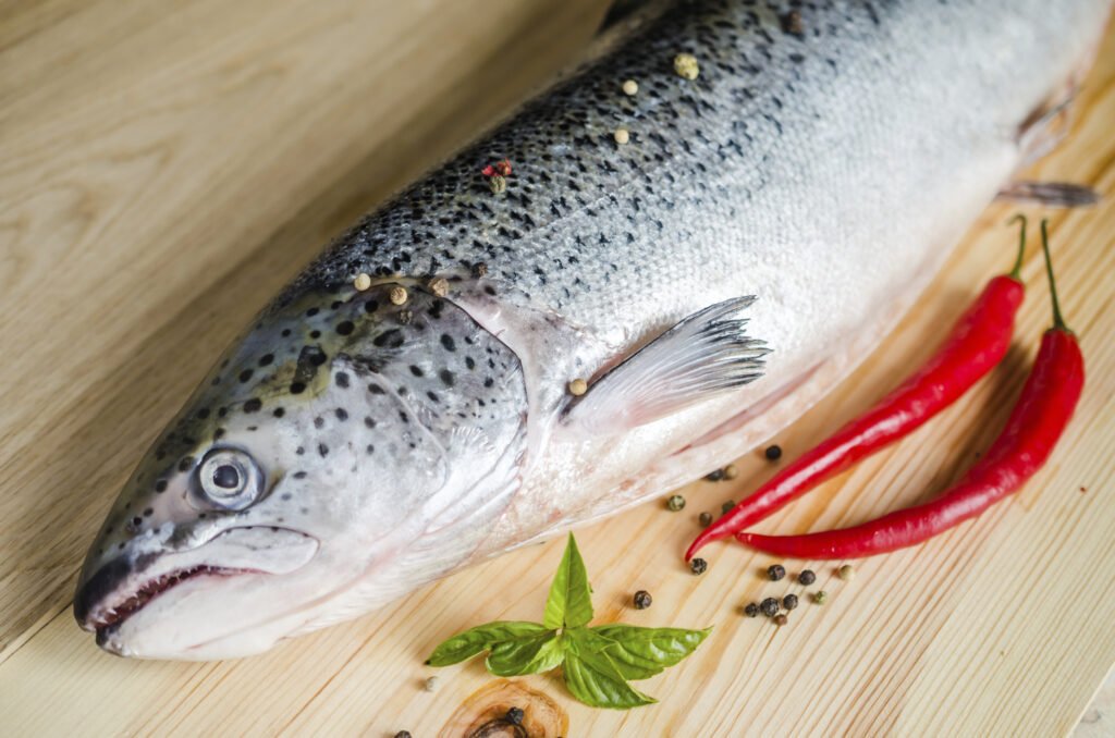 Fresh salmon with spices