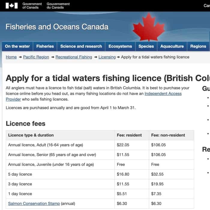 How to Get a Salmon Fishing License