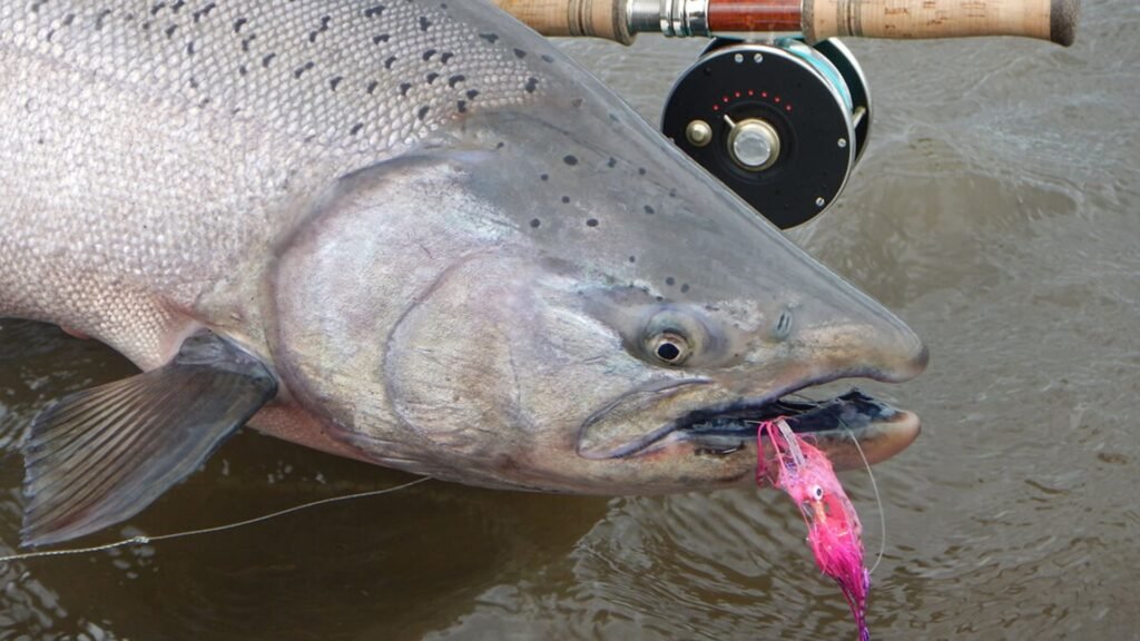 Improving Your Salmon Fly Fishing Techniques