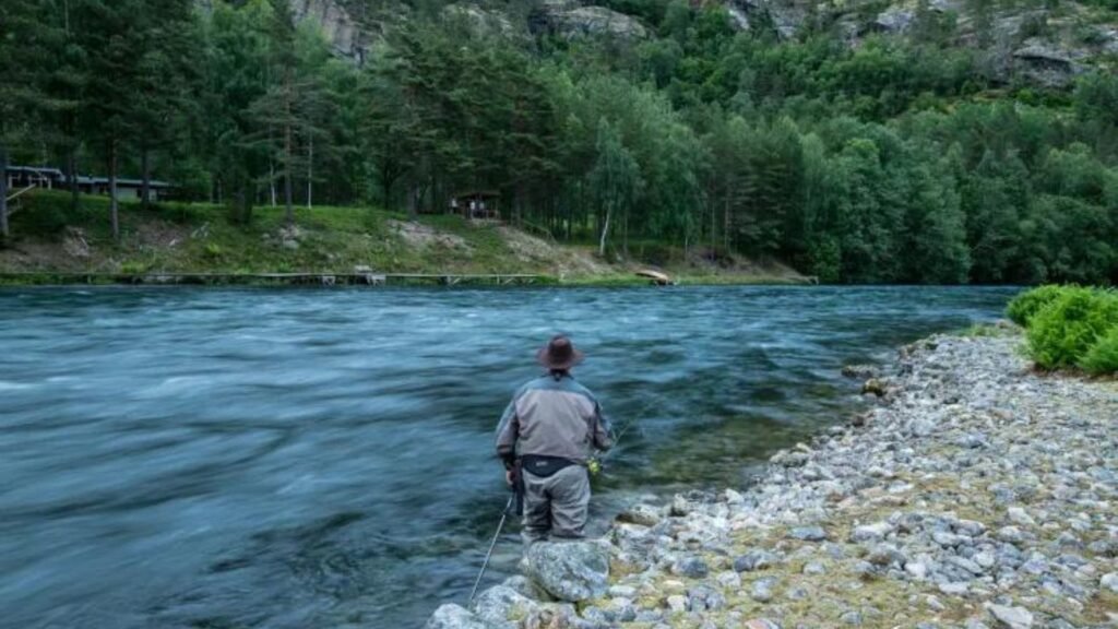 Top 10 Destinations for Salmon Fly Fishing