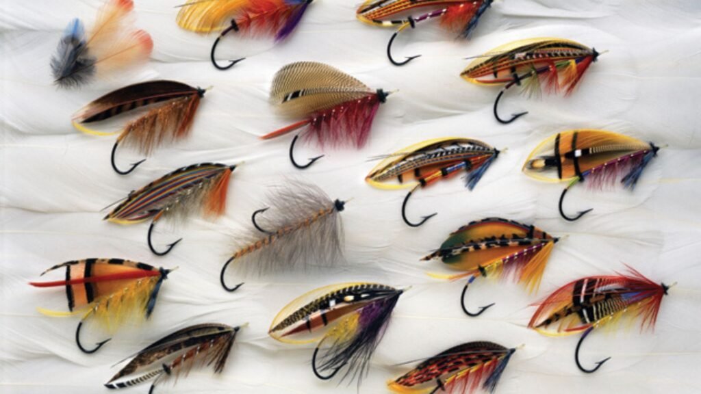 The Evolution of Salmon Flies