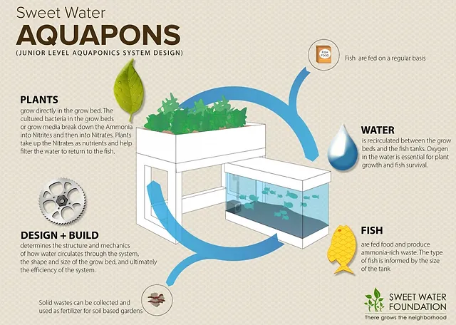 Aquaponics 101